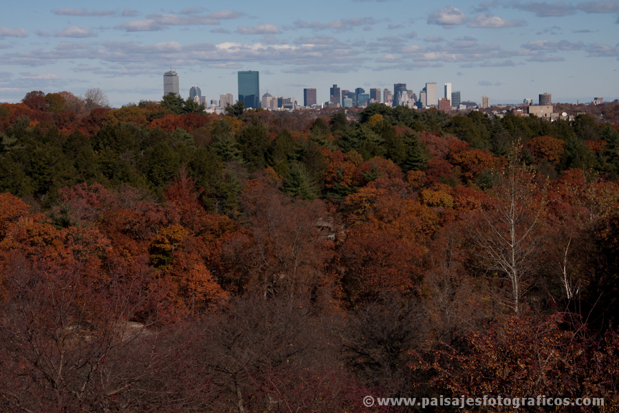 Boston desde Arnold Arboretum
