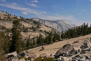 Parque Nacional de Yosemite