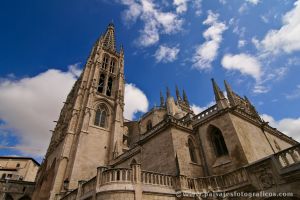 Catedral